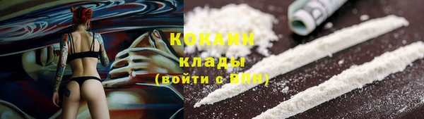 шишки Майский