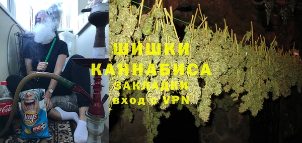 гидра Ельня