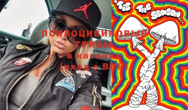 эйфоретик Осинники