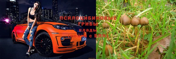 эйфоретик Осинники